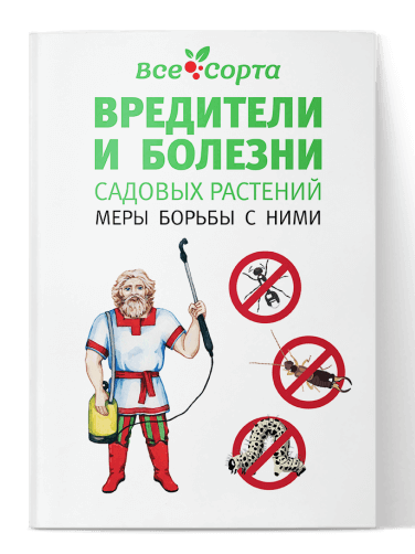 book_sorta.png book_sorta.png