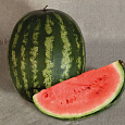 Арбуз Волгоградец КРС 90